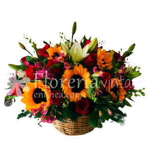 floreria-en-torreon-10GIR24RR-CAN-amor-con-sol