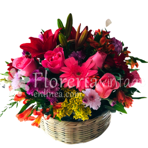 floreria-en-torreon-10RCLG-CAN-canasta-alegria