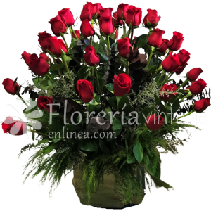 floreria-en-torreon-50RRC-BB-50-rosas-clasico