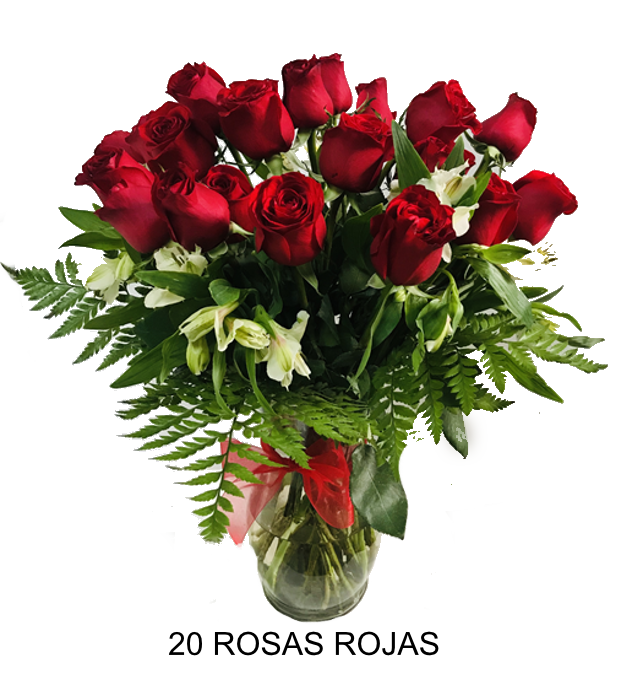 20 ROSAS EN VIDRIO